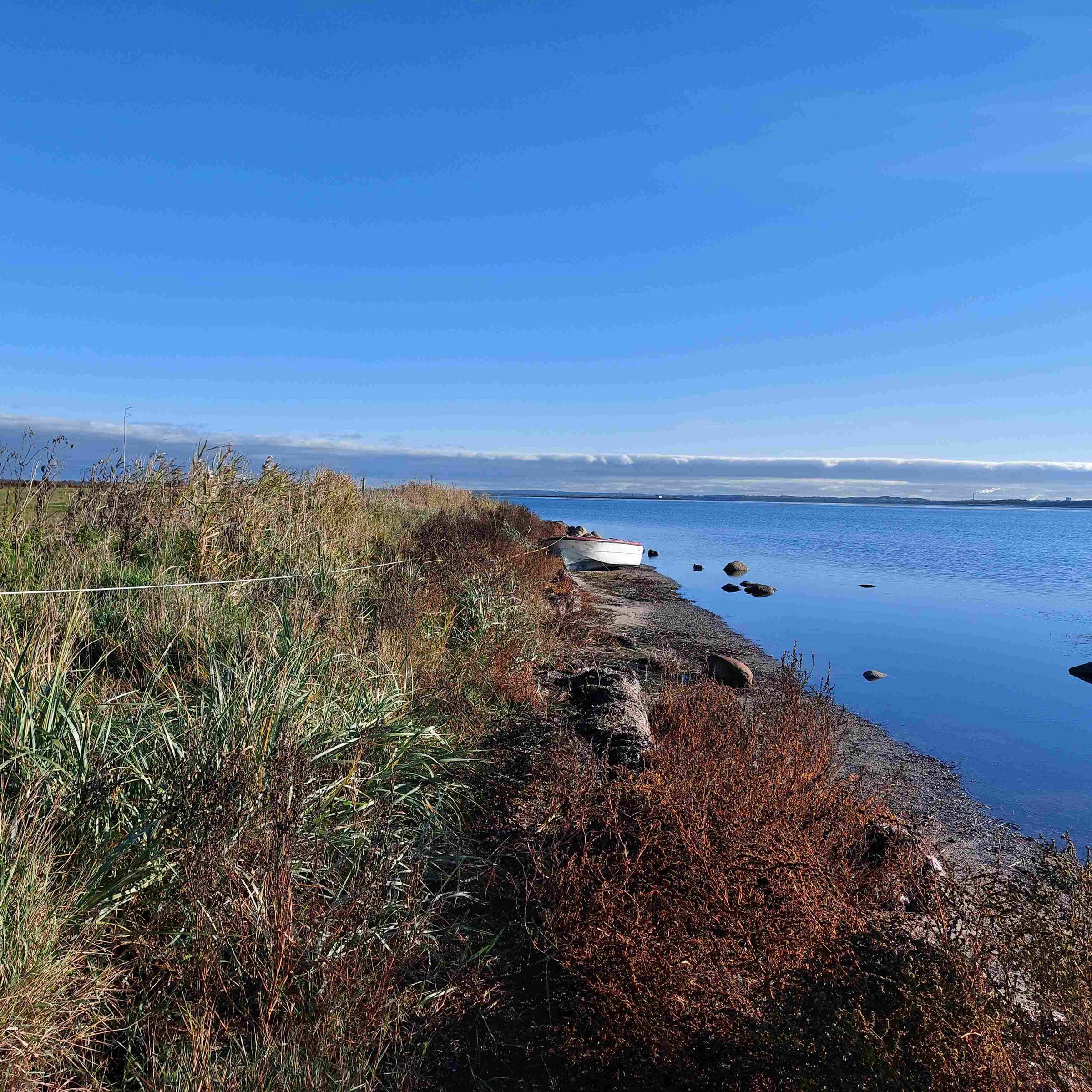 Billede af Isbakken ved Limfjorden