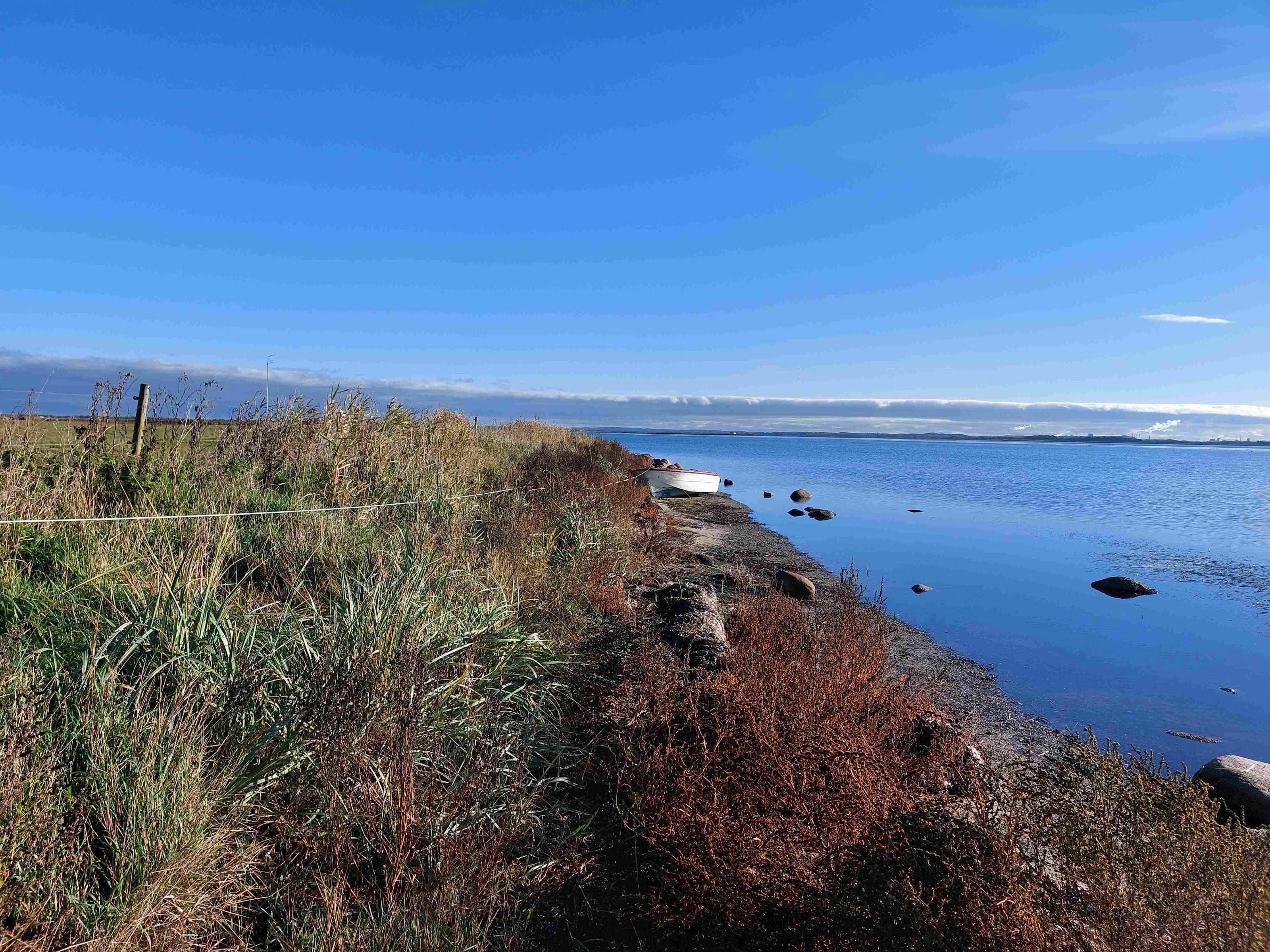 Billede af Isbakken ved Limfjorden