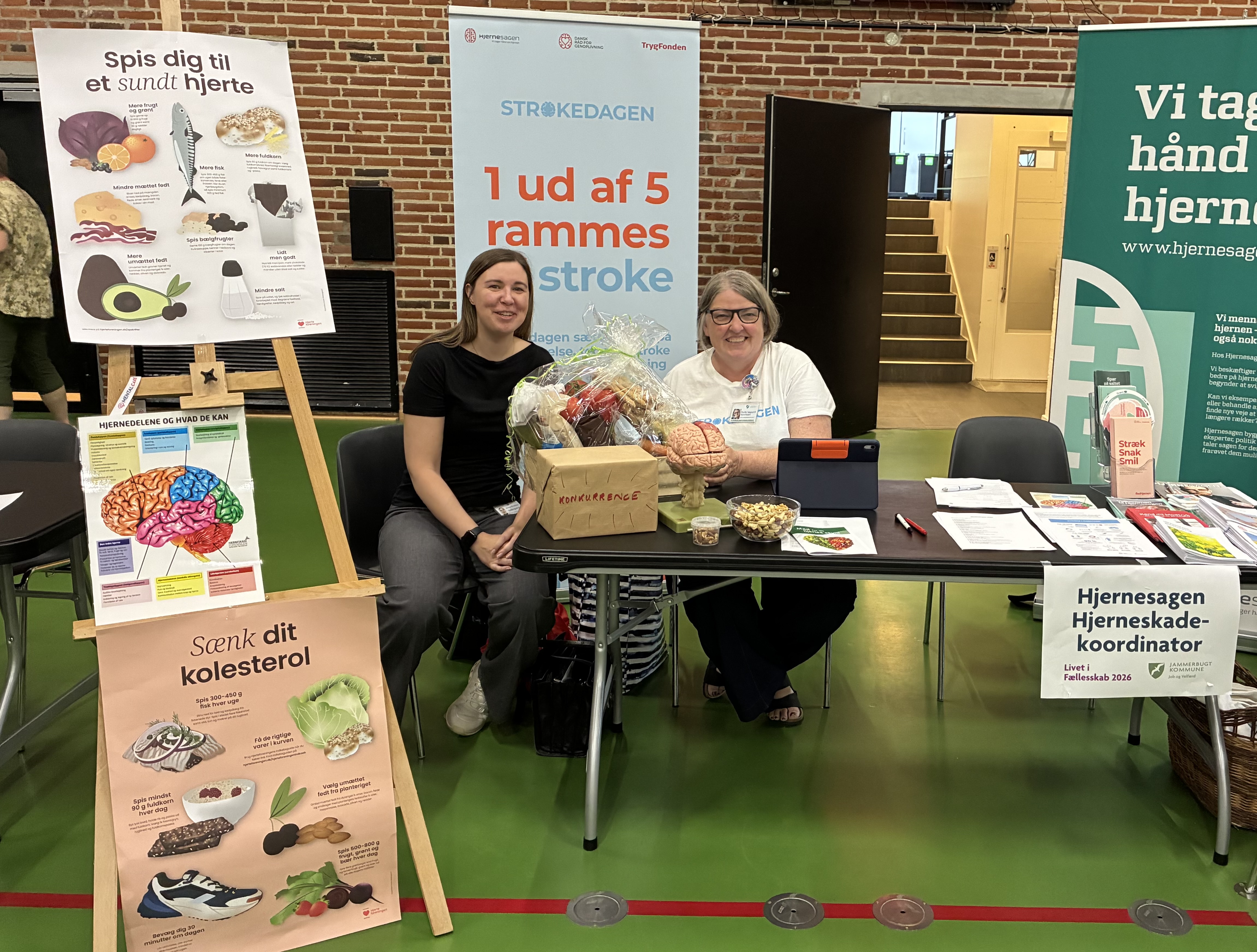 Hjerneskadeindsatsens stand
