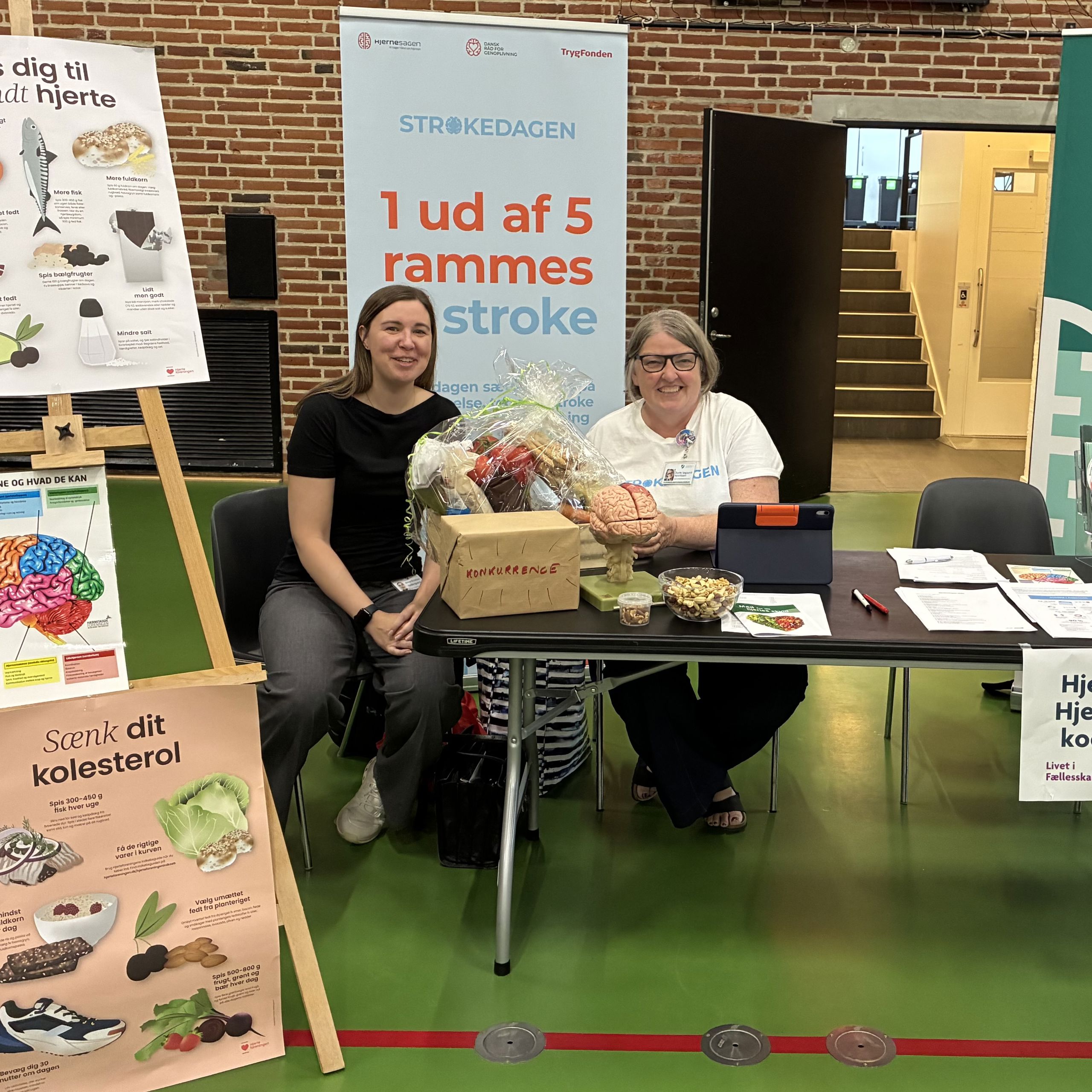 Hjerneskadeindsatsens stand