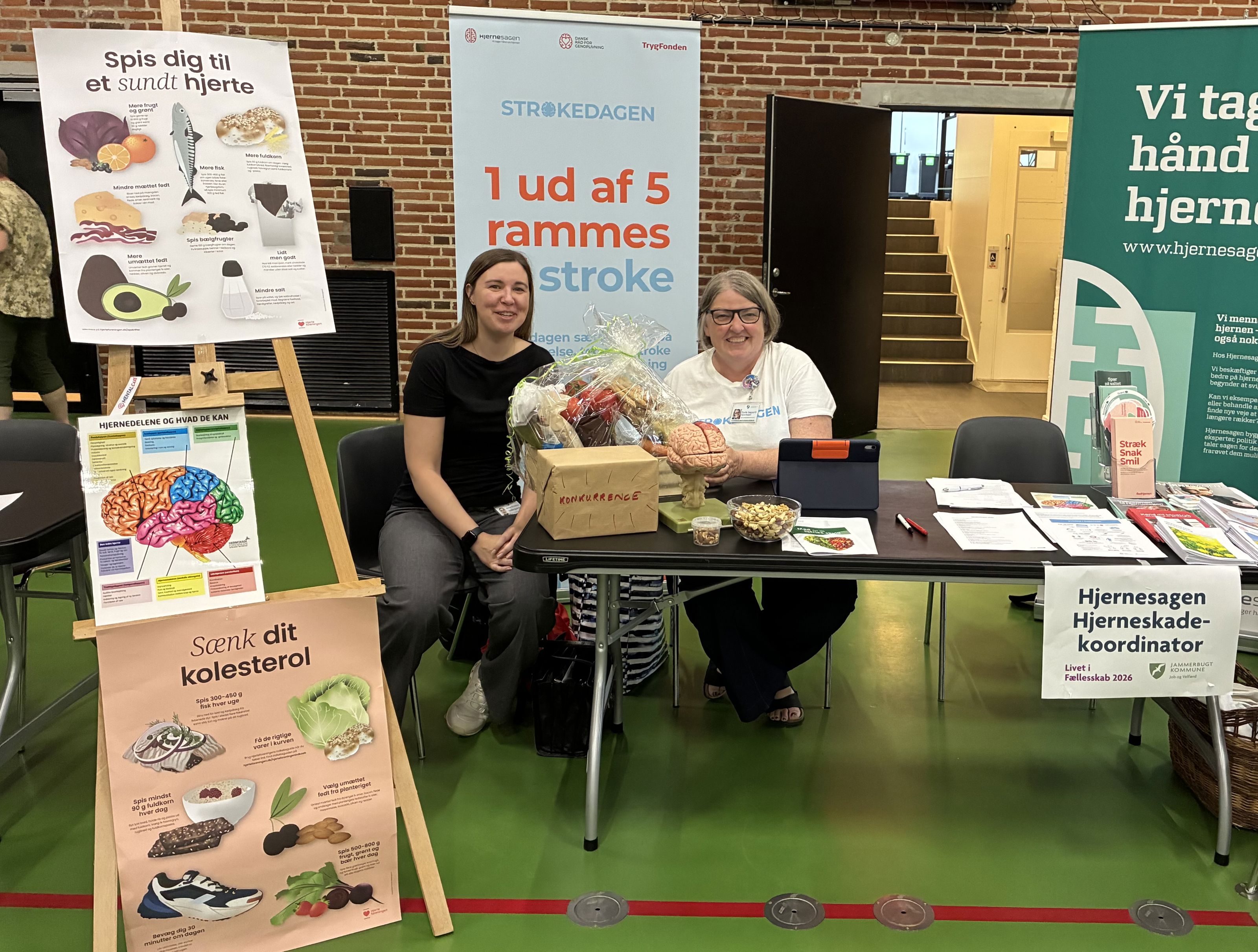 Hjerneskadeindsatsens stand