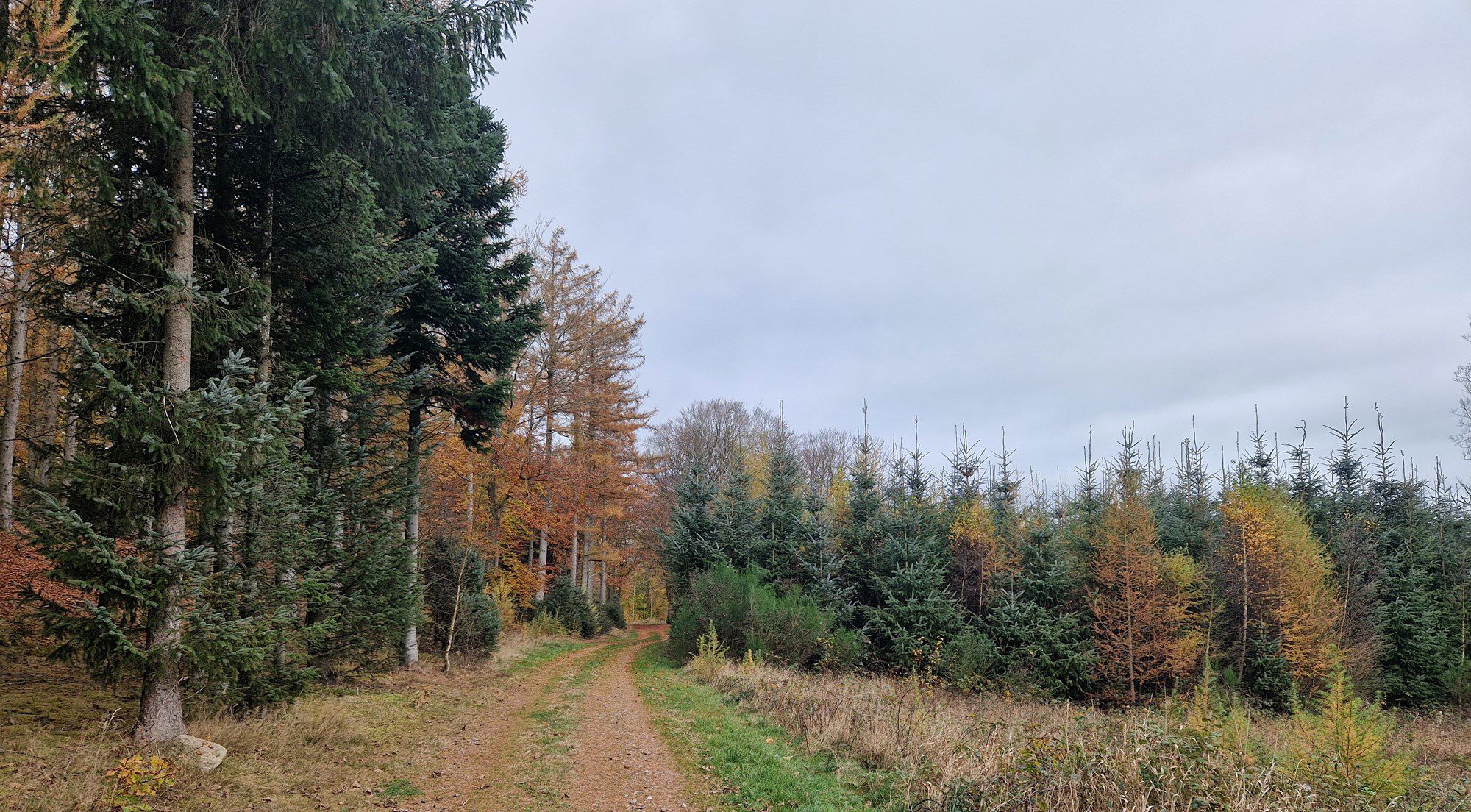 Øland Skov vej