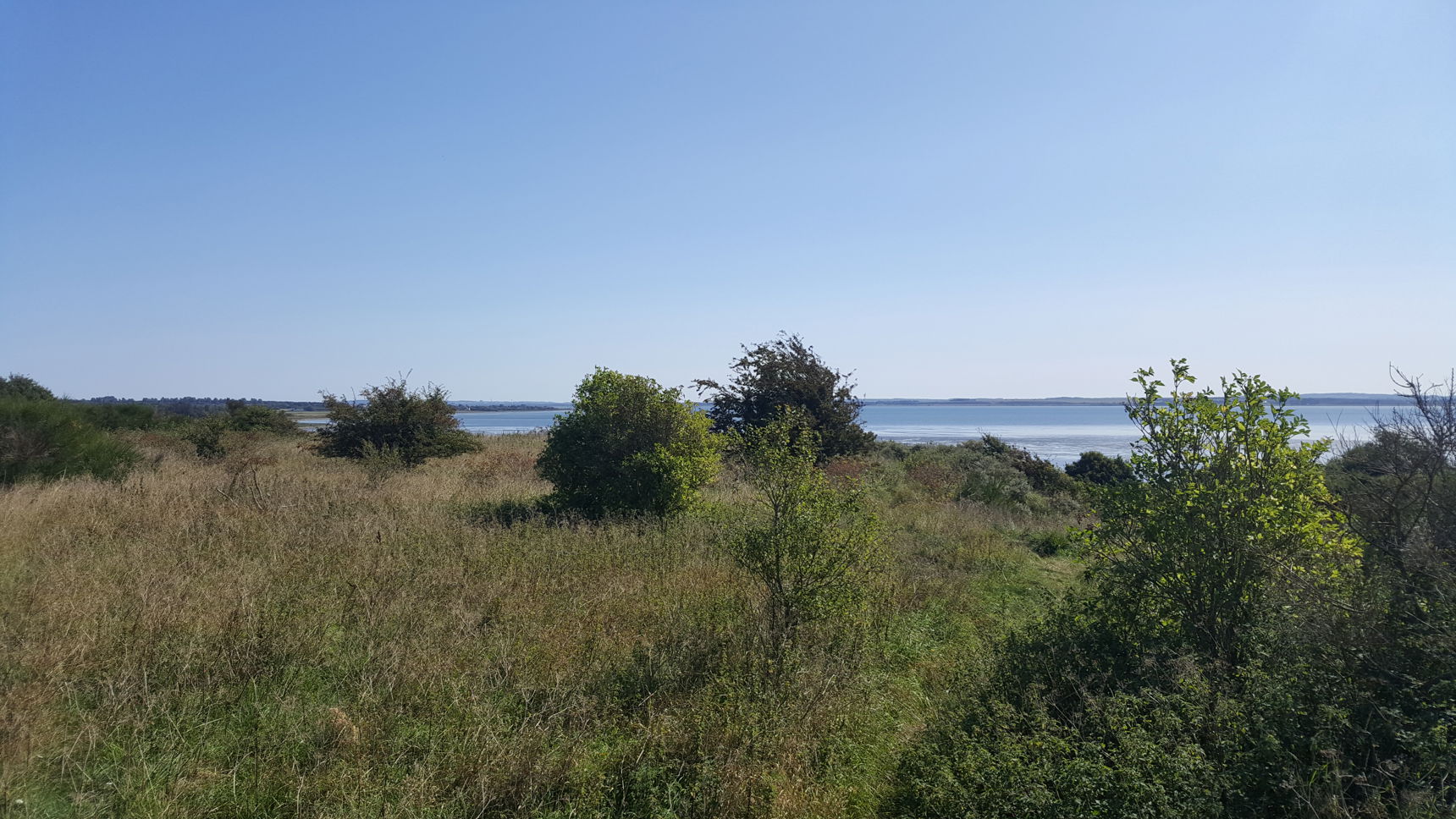 Vild natur