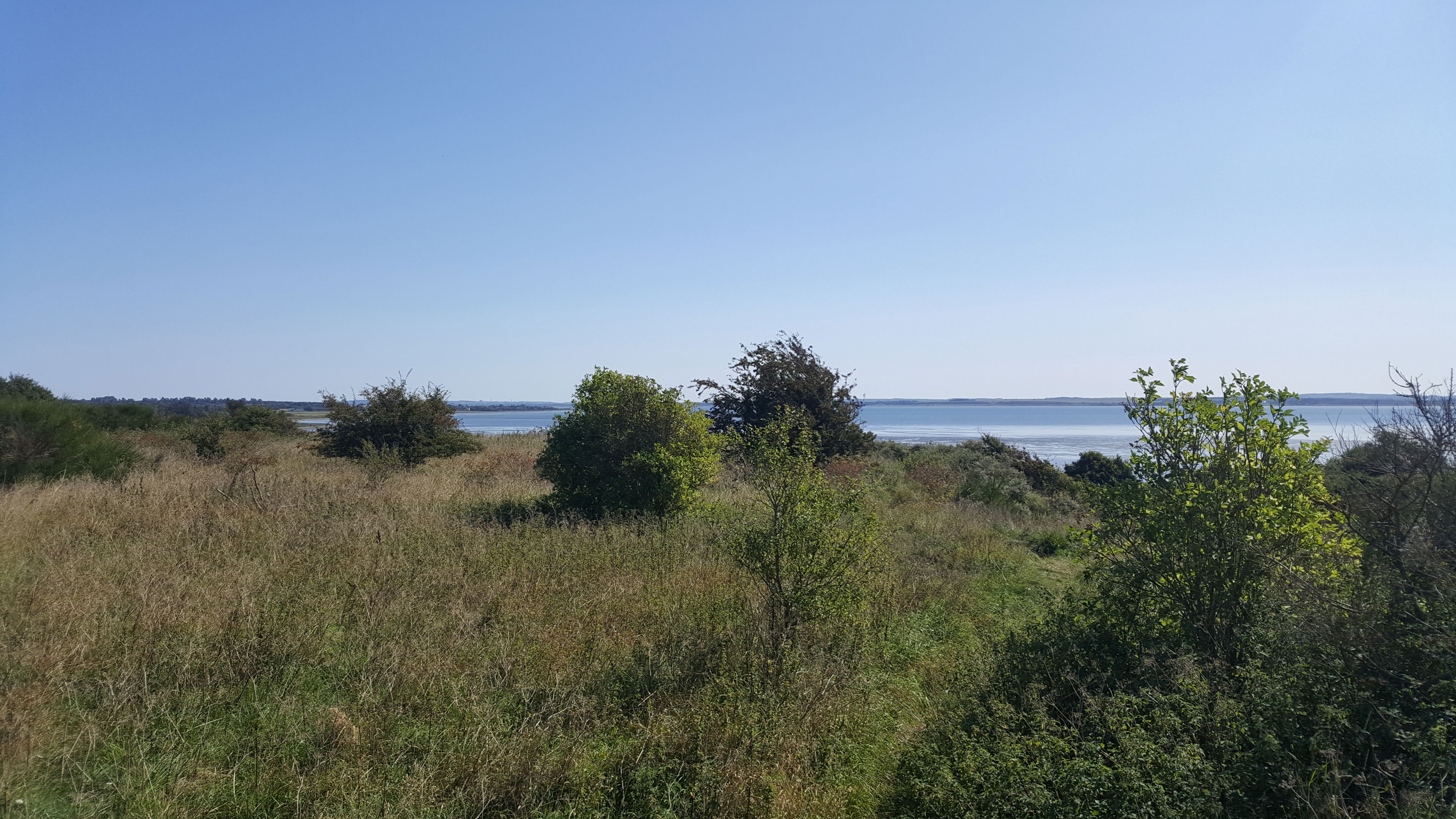 Vild natur
