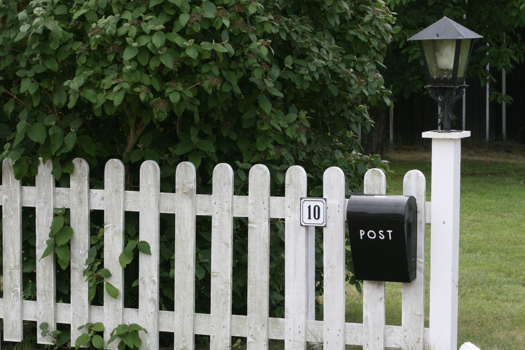 Stakit buske og postkasse