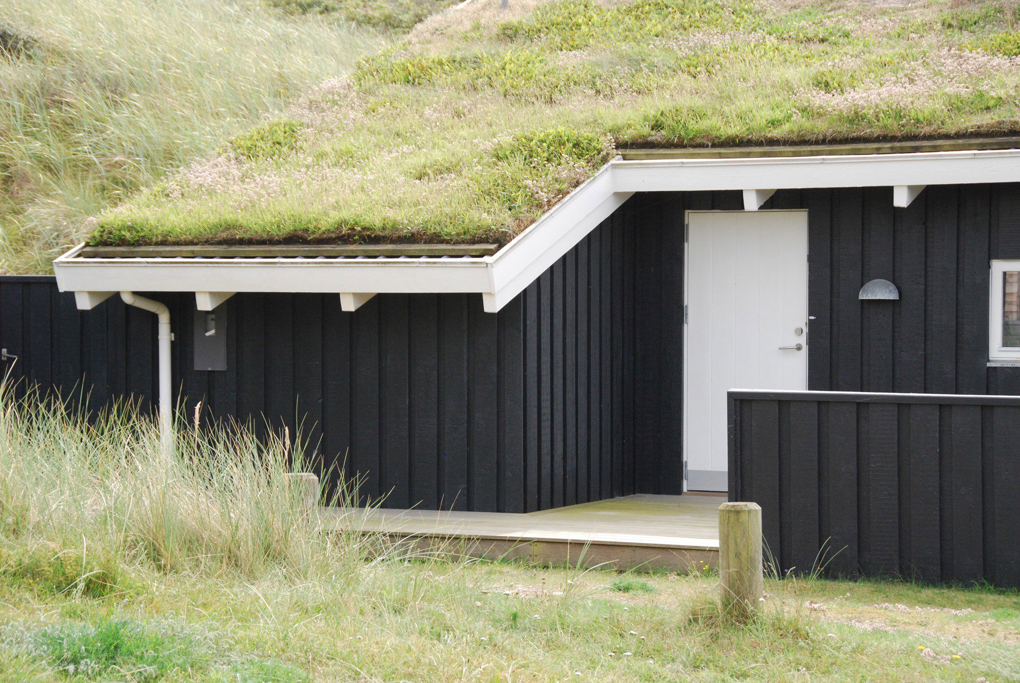 sommerhus med græstag