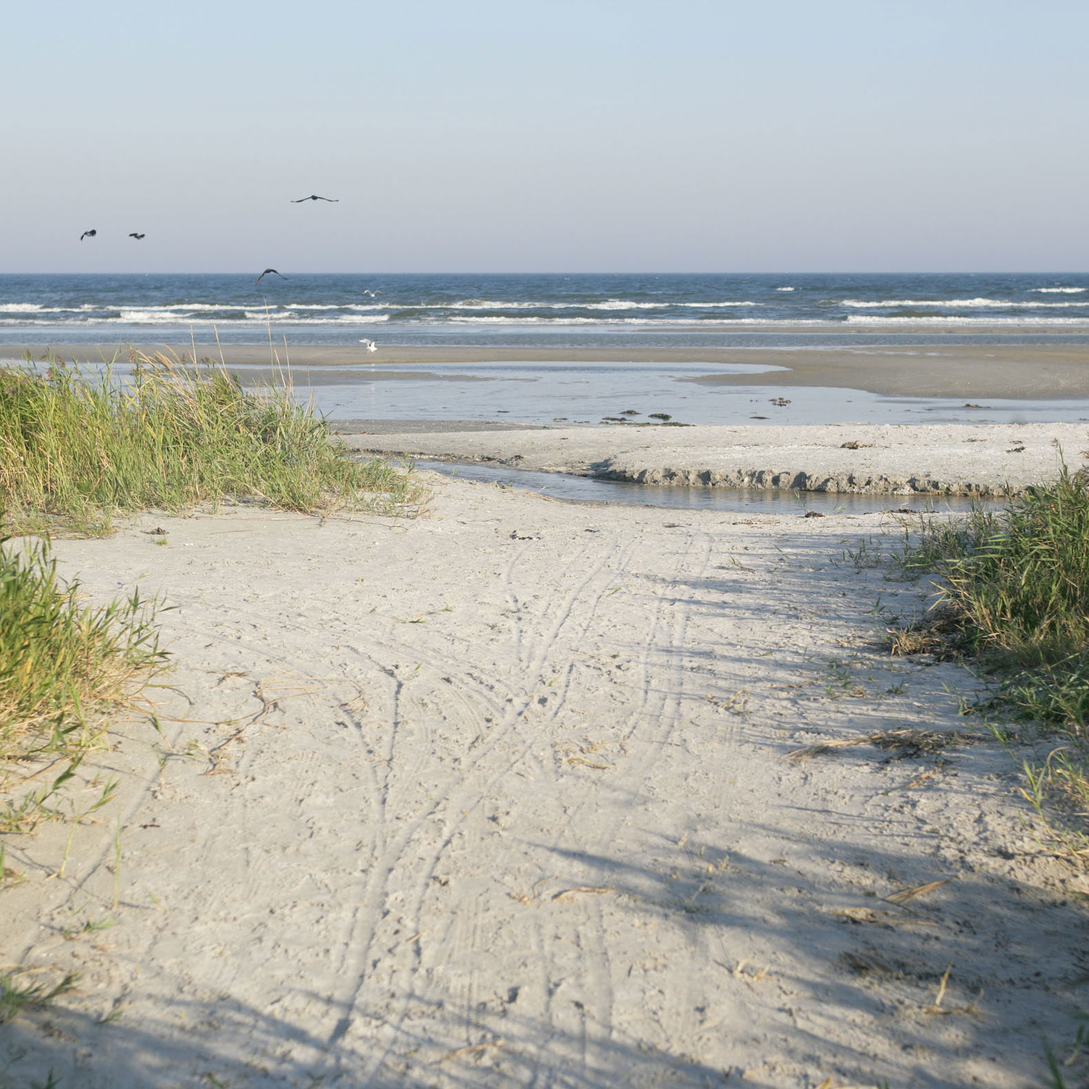 Nedgang til Blokhus strand