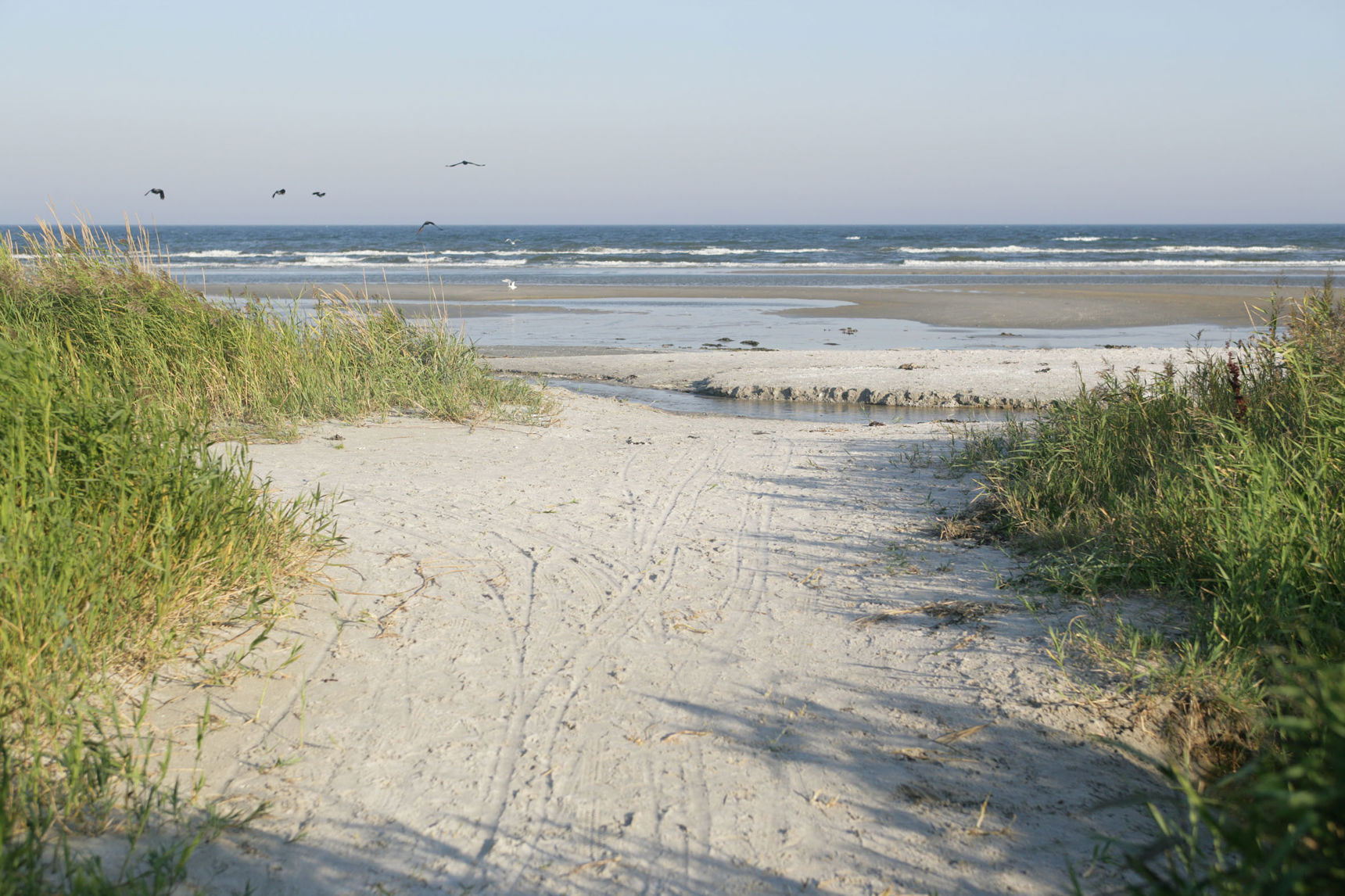 Nedgang til Blokhus strand