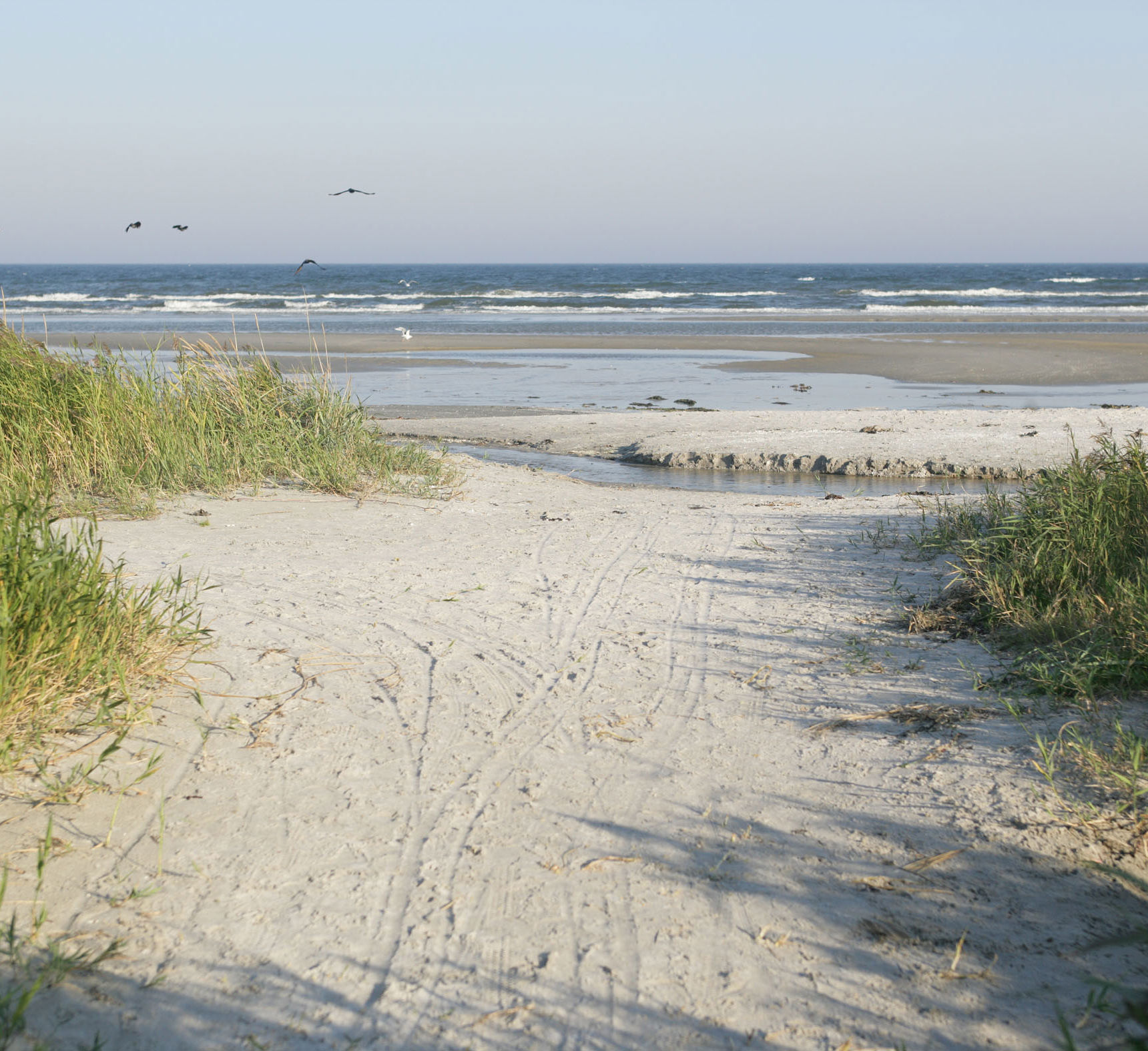 Nedgang til Blokhus strand