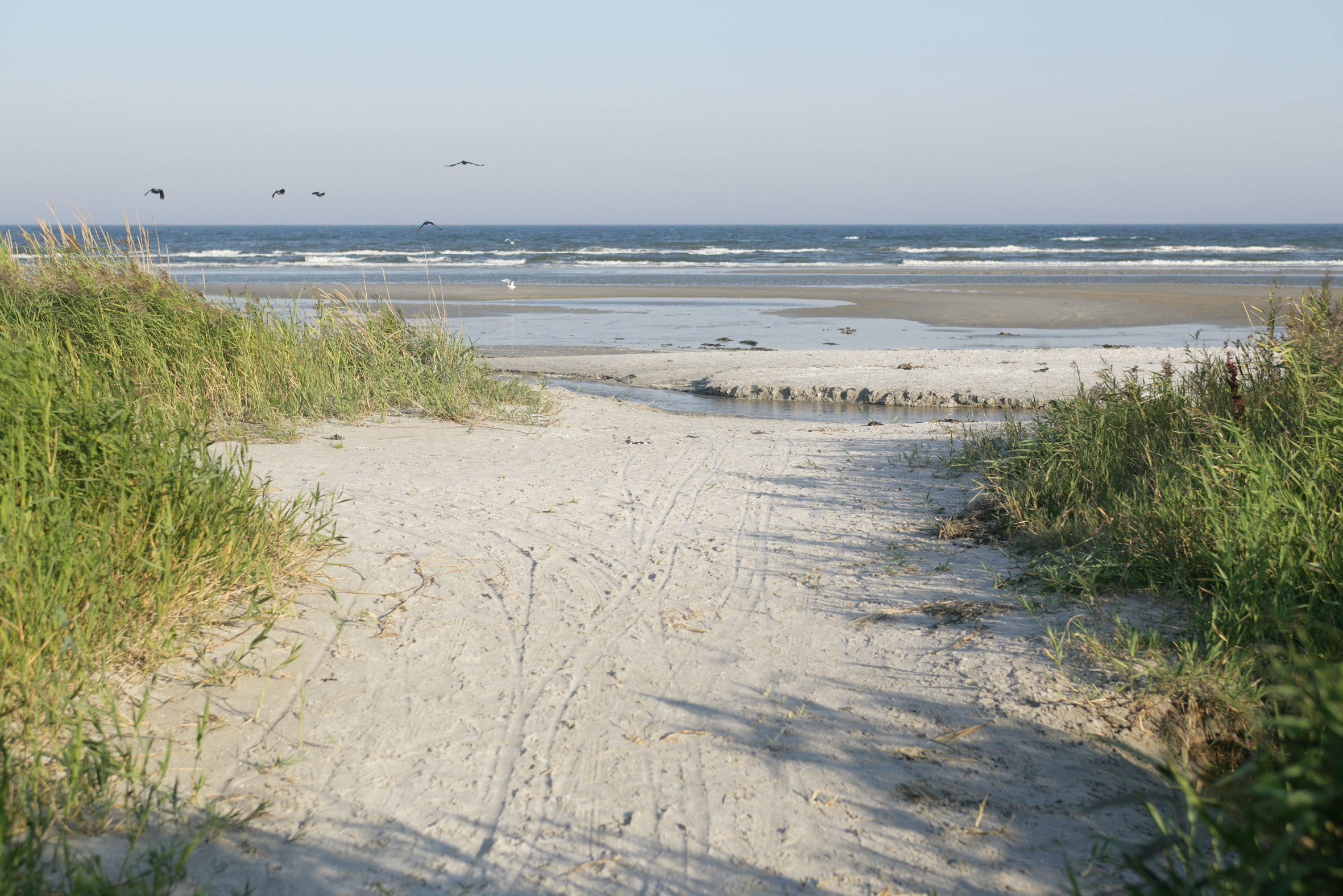 Nedgang til Blokhus strand