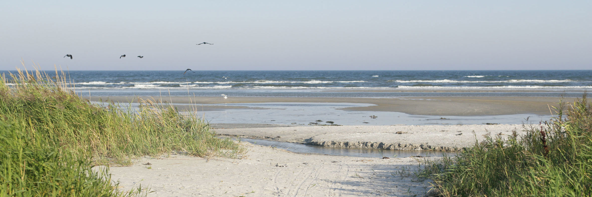 Nedgang til Blokhus strand