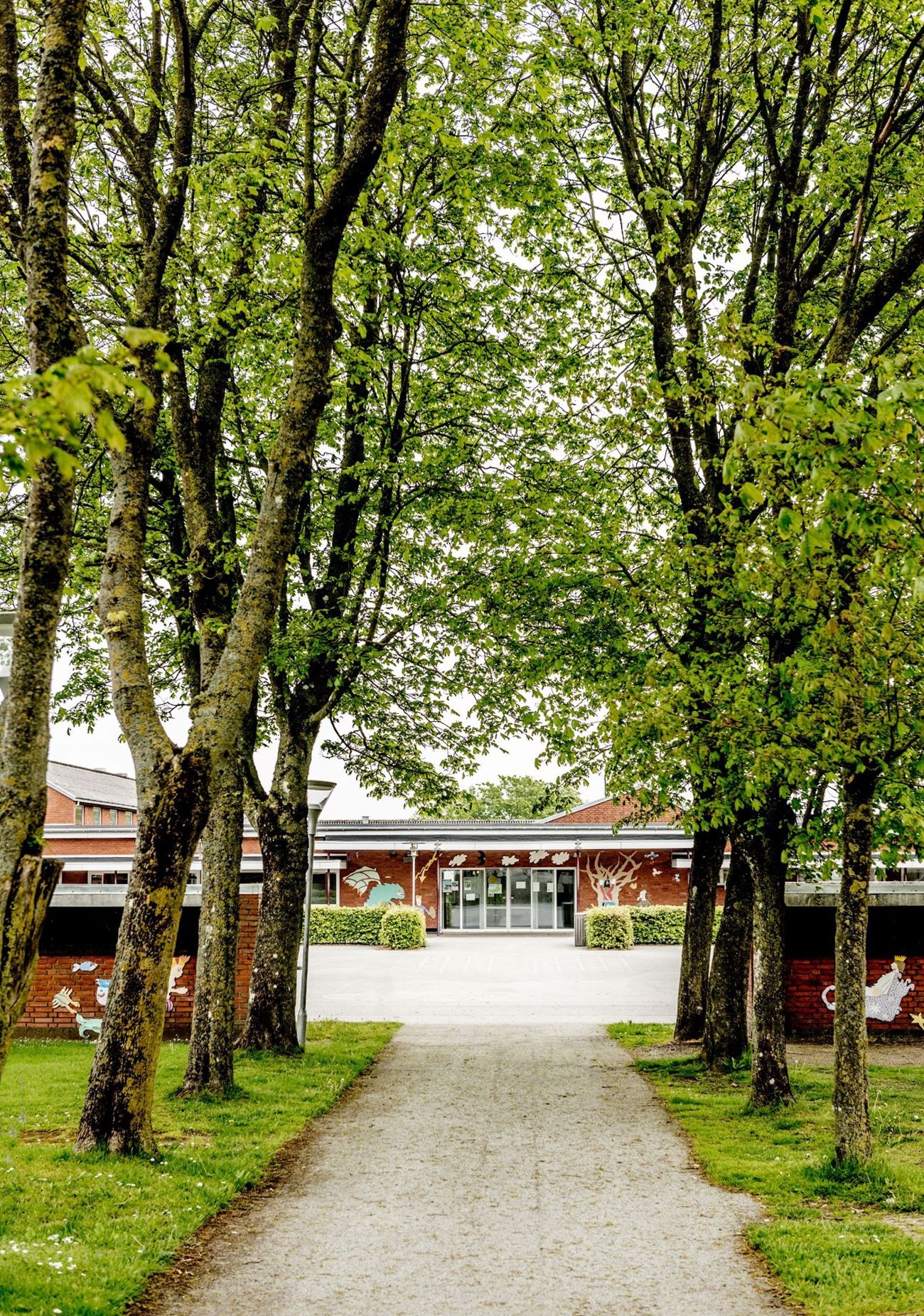 Skovsgaard Skole udefra