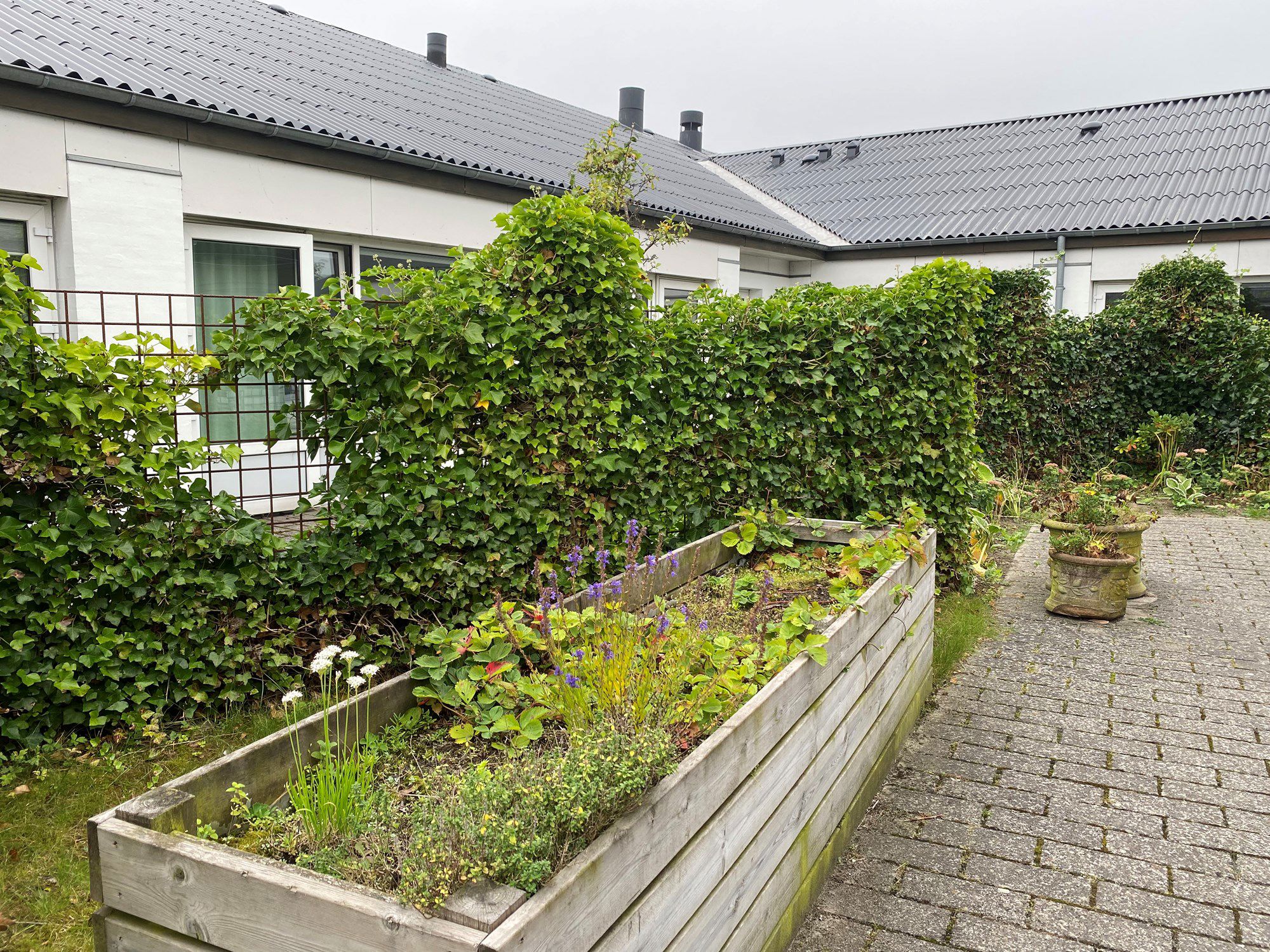 Solbakken højbede