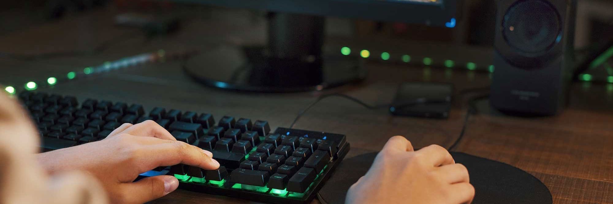 Gamer ved pc