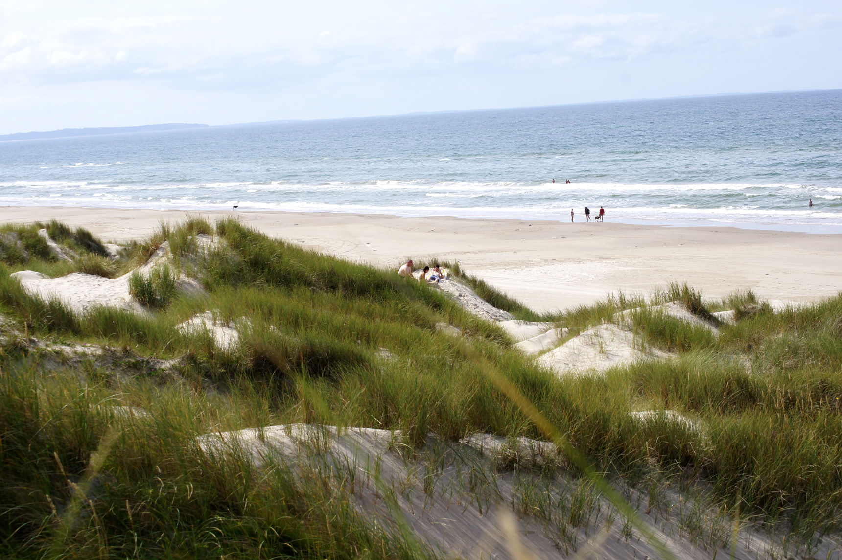 Blokhus strand klitter og hav