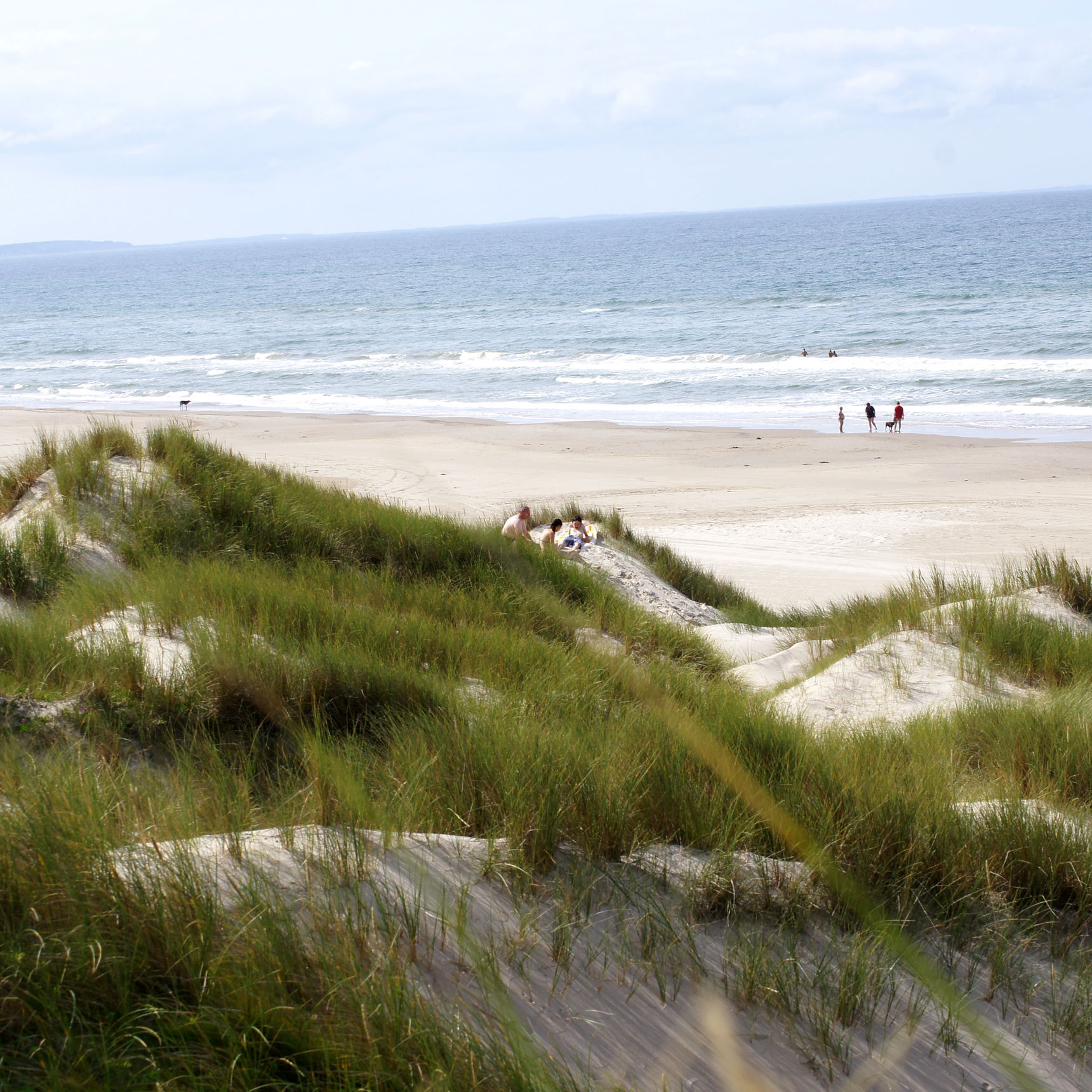 Blokhus strand klitter og hav