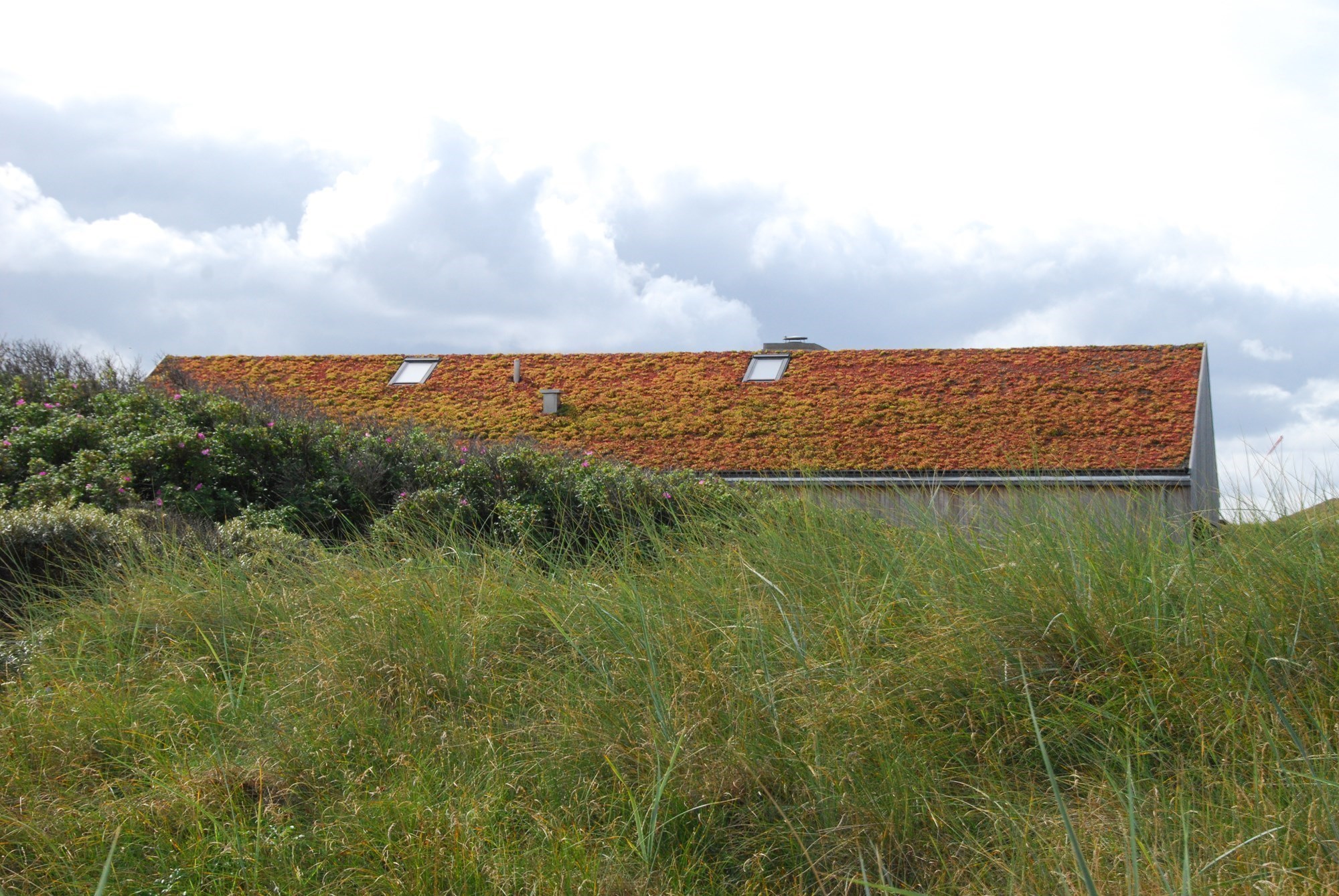 sommerhus med naturtag