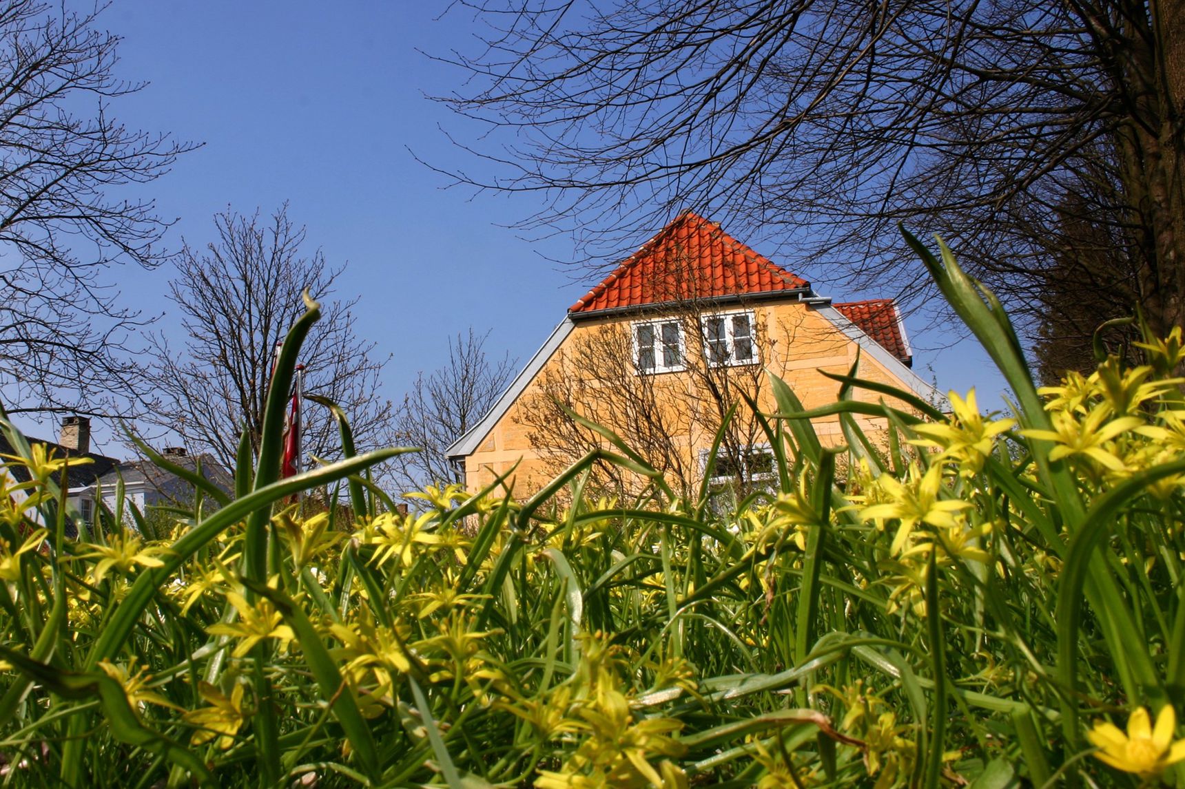 Gult hus med rødt tag mod blå himmel gule blomster i forgrund
