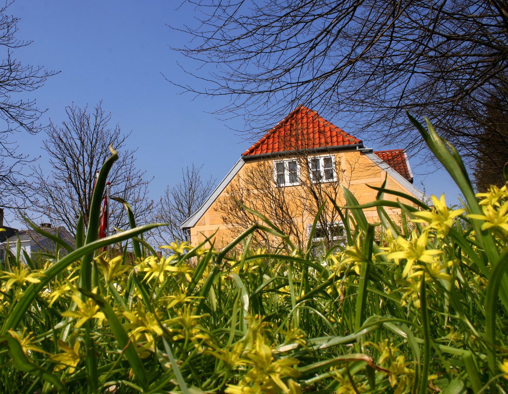 Gult hus med rødt tag mod blå himmel gule blomster i forgrund