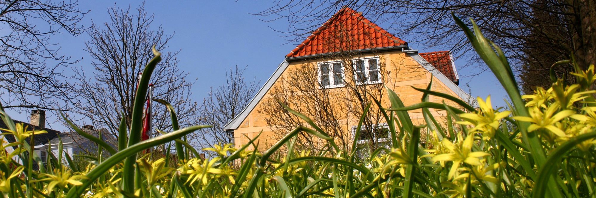 Gult hus med rødt tag mod blå himmel gule blomster i forgrund