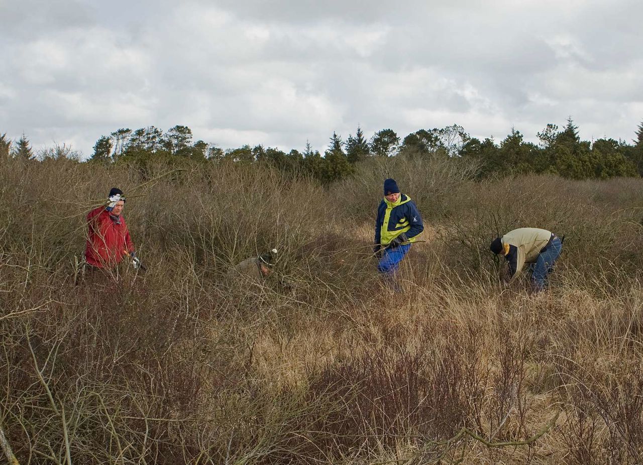 oprydning i naturen