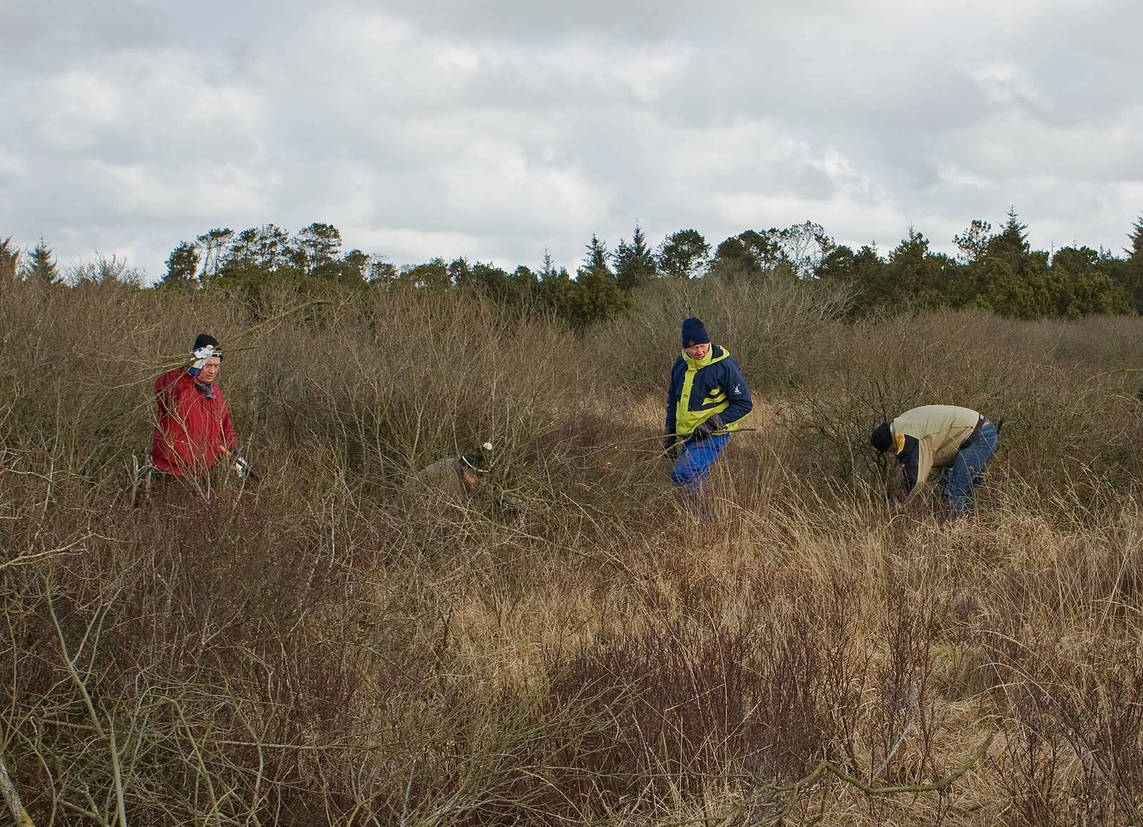 oprydning i naturen