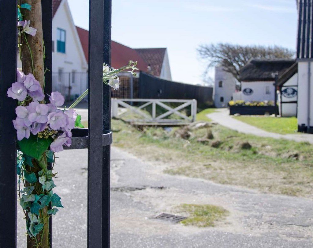 Blokhus å gangbro blomst
