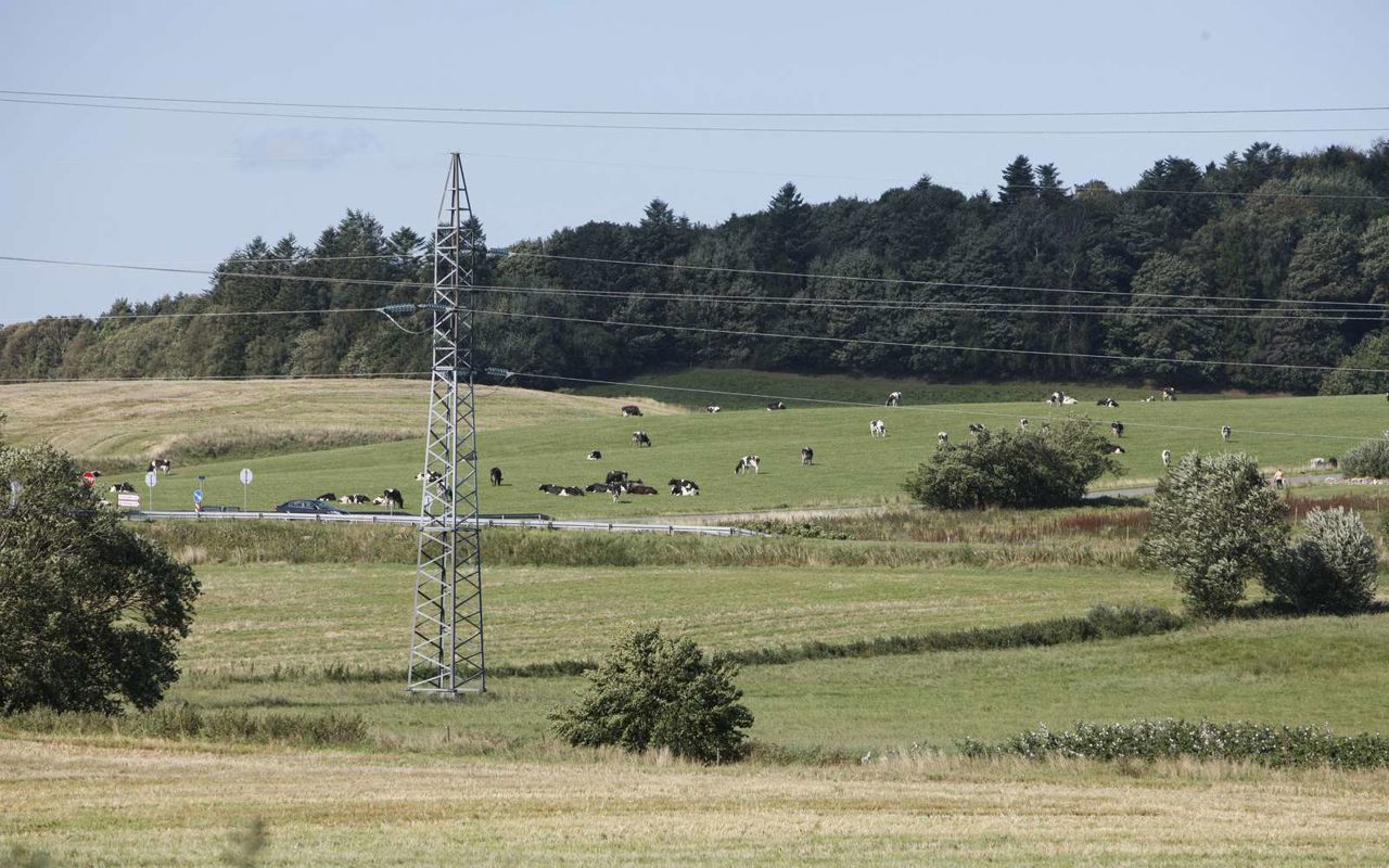 Elmast og ledninger i landskabet