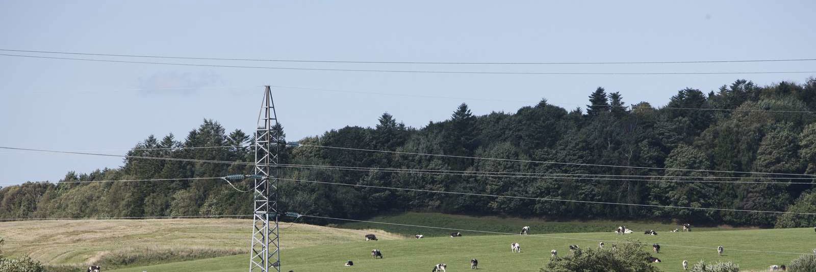 Elmast og ledninger i landskabet