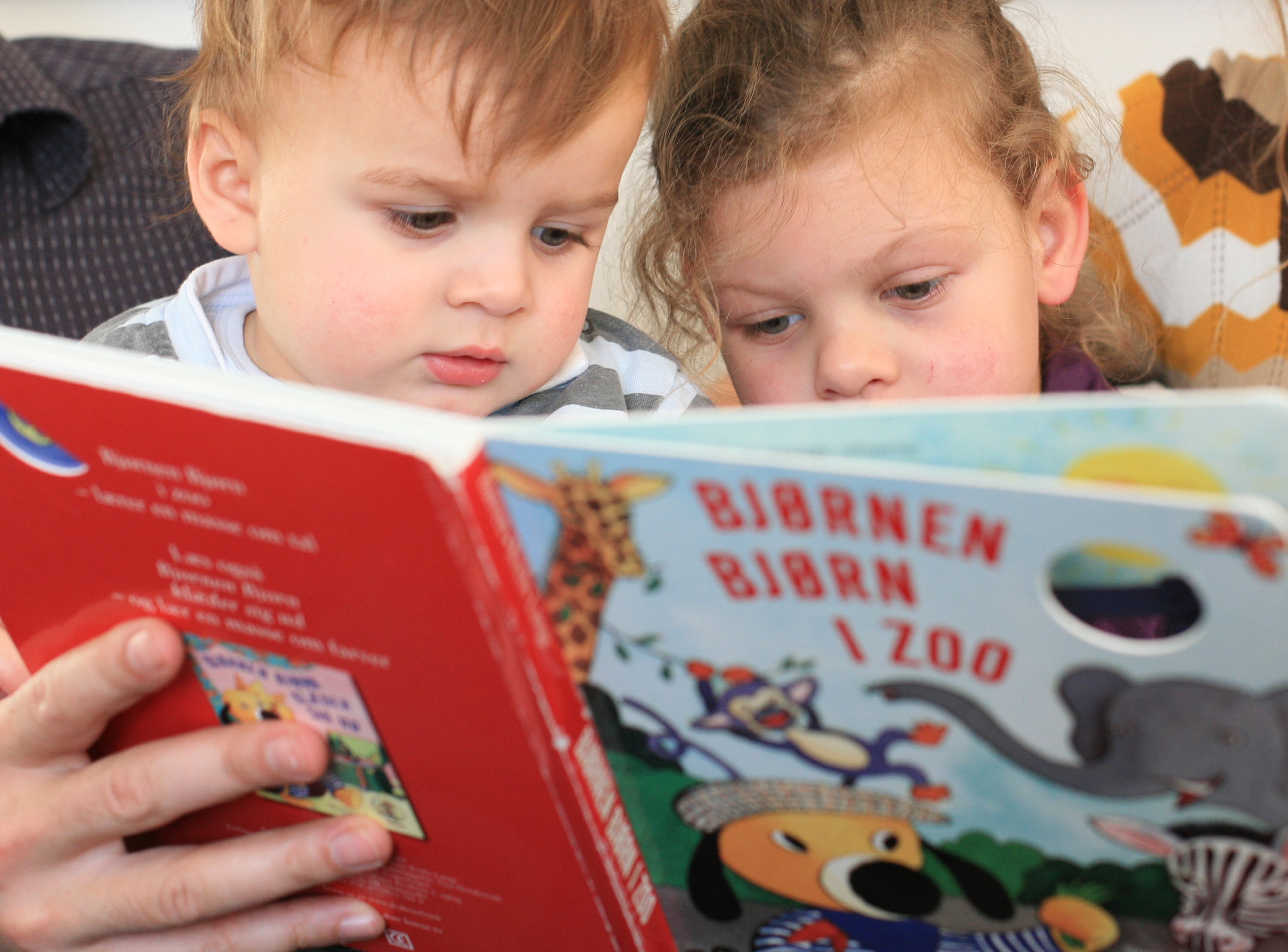 to børn læser bog