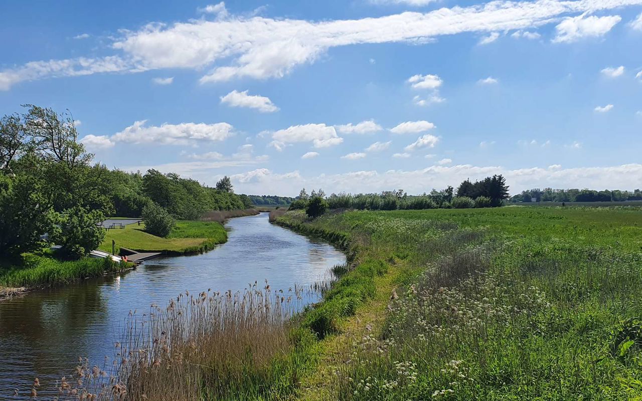 å i naturlig forløb