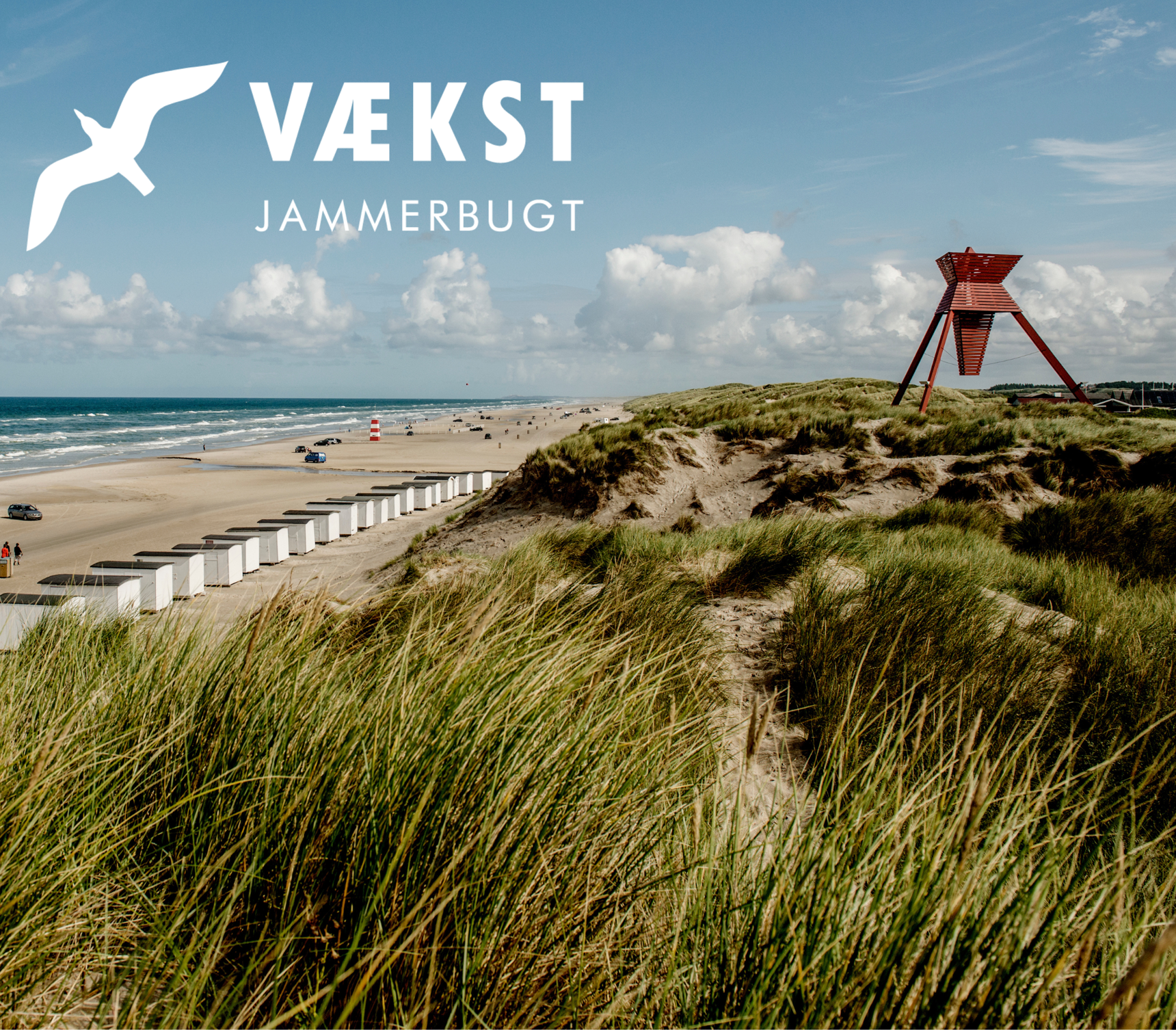Blokhus strand med grafik for vækst