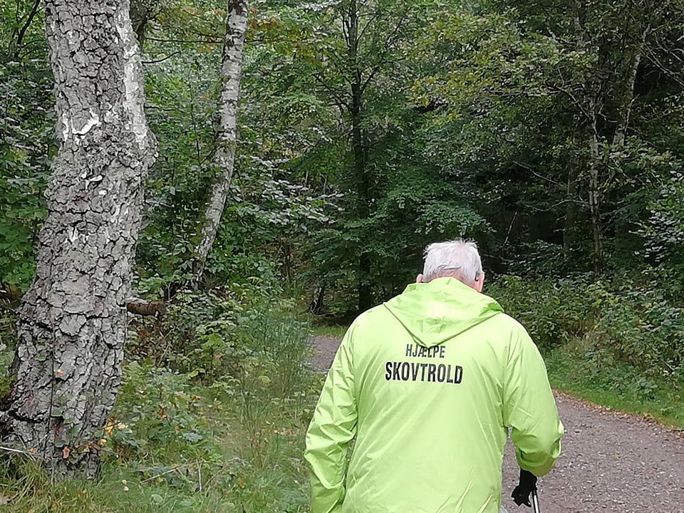 Skovtrold