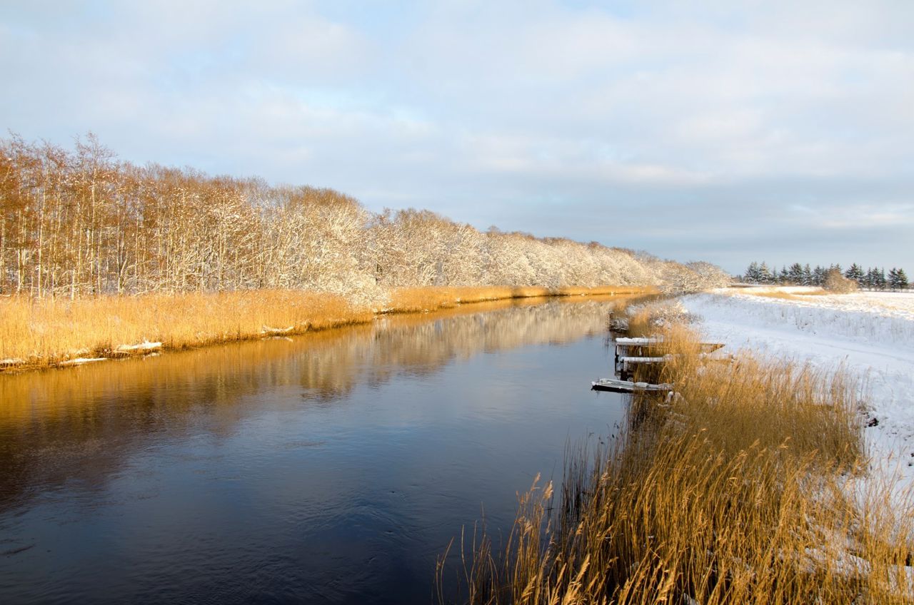 Ryå vinter