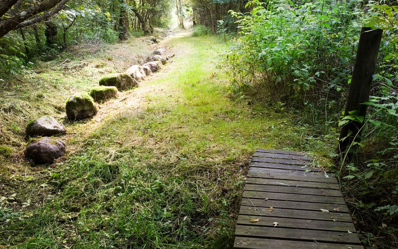 Trædestenene